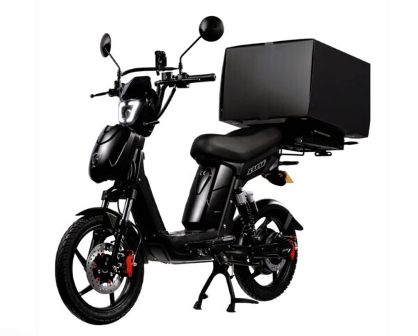 Screenshot Eskuta SX-250 Series 4 Cargo Electric Bike