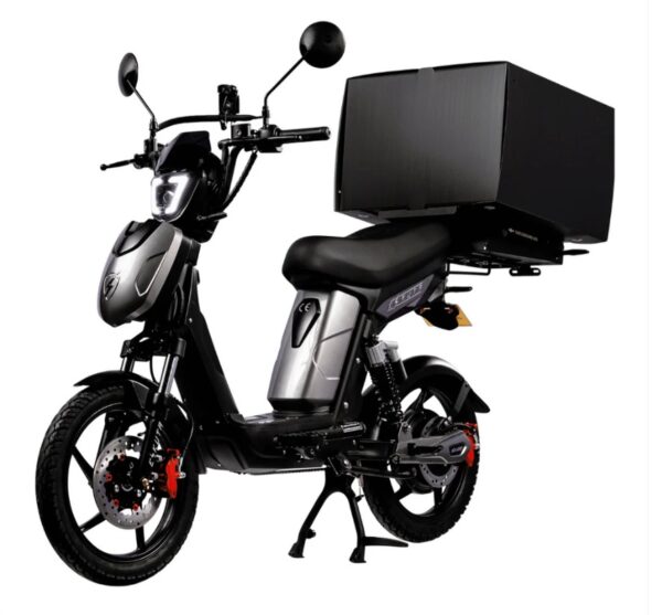 Screenshot002 Eskuta SX-250 Series 4 Cargo Electric Bike