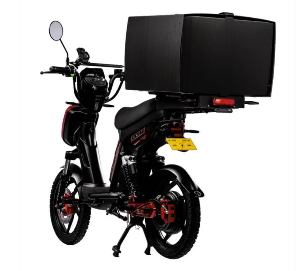 Screenshot003 Eskuta SX-250 Series 4 Cargo Electric Bike